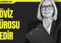 Döviz Bürosu Nedir Nasıl Açılır