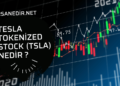 Tesla Tokenized Stock (TSLA) Nedir, Geleceği