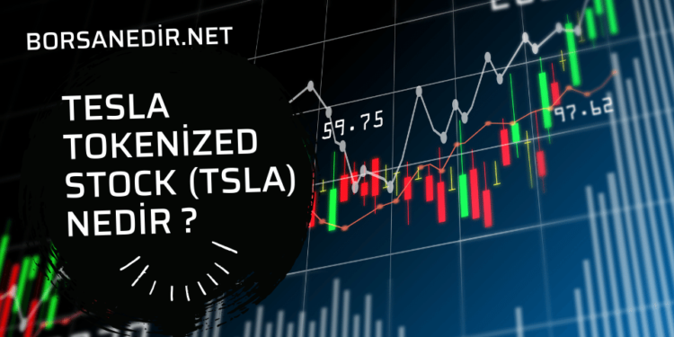 Tesla Tokenized Stock (TSLA) Nedir, Geleceği