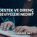 Destek ve Direnç Seviyeleri Nedir?