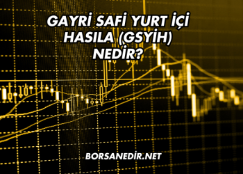 Gayri Safi Yurt İçi Hasıla (GSYİH) Nedir?