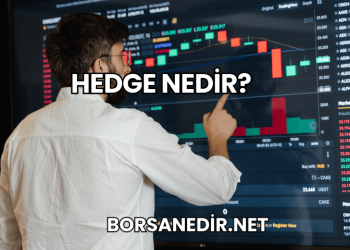 Hedge Nedir?