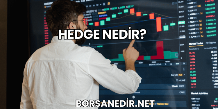 Hedge Nedir?