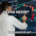 Hedge Nedir?