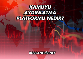 Kamuyu Aydınlatma Platformu Nedir?