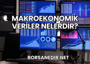 Makroekonomik Veriler Nelerdir?