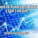 Sermaye Piyasası Kurulu (SPK) Nedir?