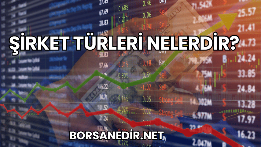 Şirket Türleri Nelerdir?