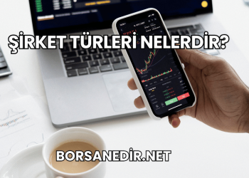 Şirket Türleri Nelerdir?