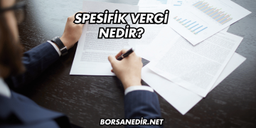 Spesifik Vergi Nedir?