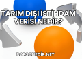Tarım Dışı İstihdam Verisi Nedir?
