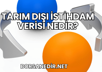 Tarım Dışı İstihdam Verisi Nedir?