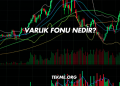Varlık Fonu Nedir?