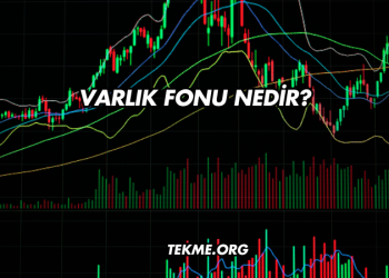 Varlık Fonu Nedir?