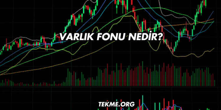 Varlık Fonu Nedir?