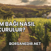 Üzüm Bağı Nasıl Kurulur?